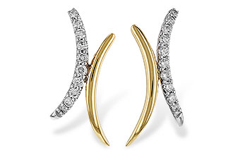 F329-22885: EARRINGS .15 TW